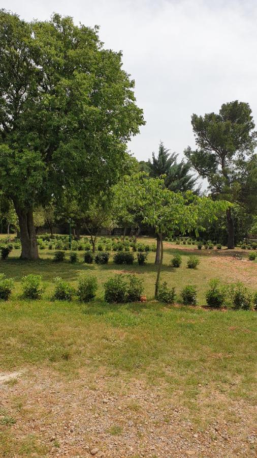 Apartmani Paron Sime Seline Exterior foto