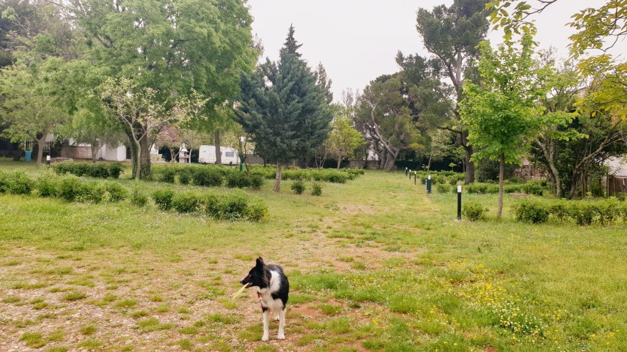 Apartmani Paron Sime Seline Exterior foto